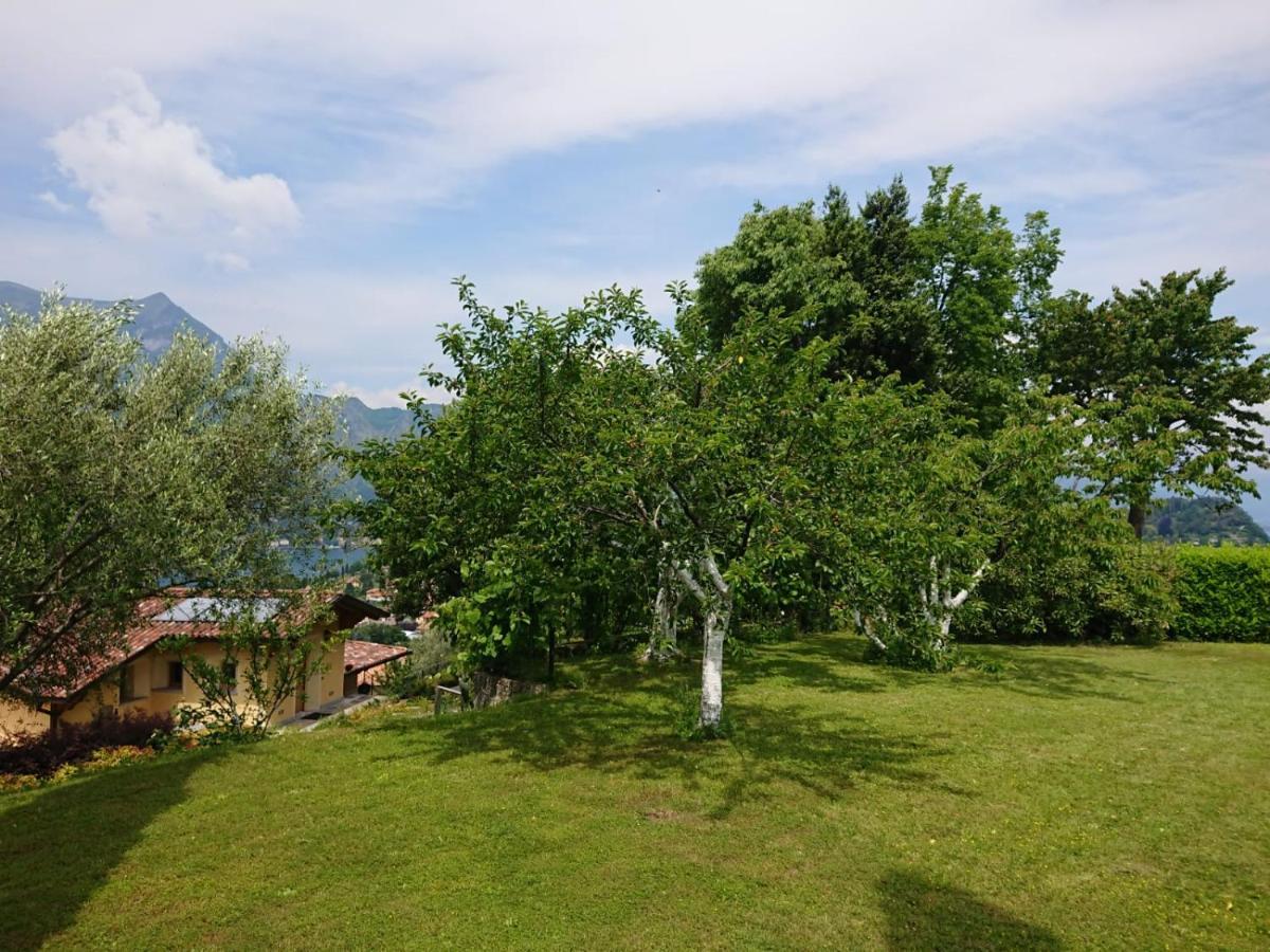 Villa Primula Bellagio Exterior foto