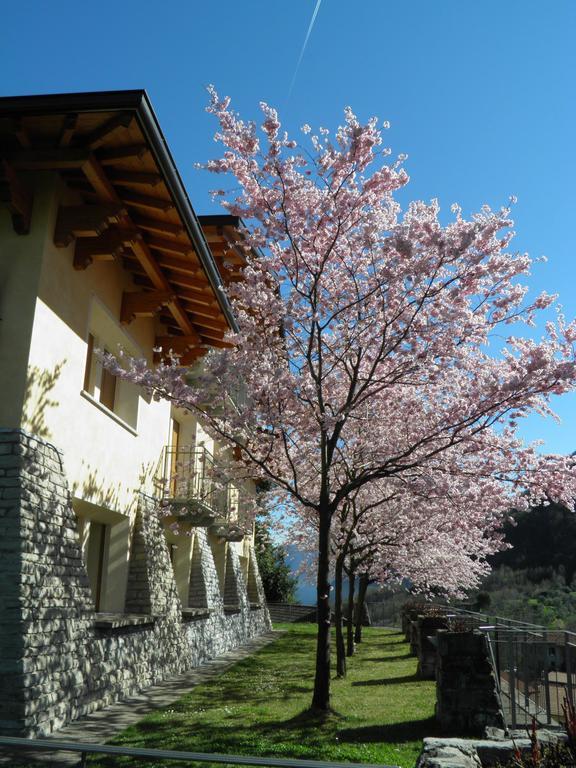 Villa Primula Bellagio Cameră foto